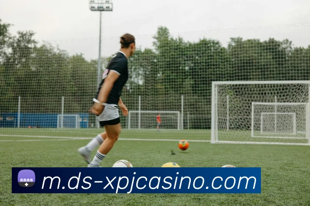 新葡京娱乐平台生态图