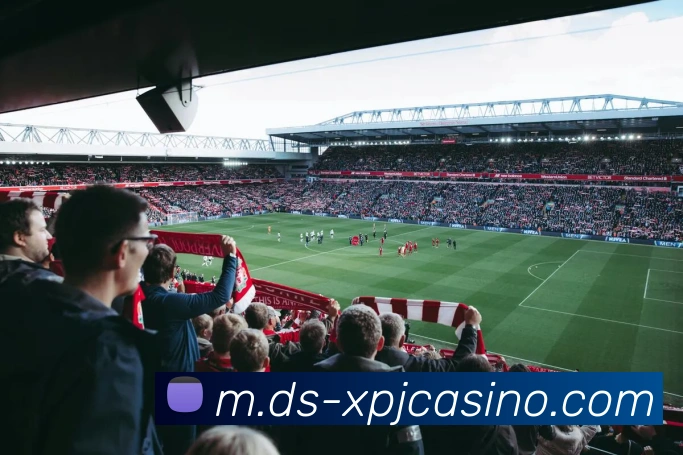 新葡京娱乐APP 封面图